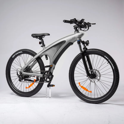 HX Q5 Shark Electric Bike
