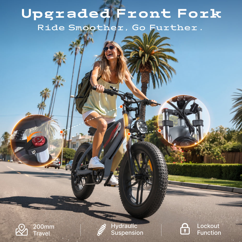 HX Q6 Moped-Style Fat Tire Electric Bike