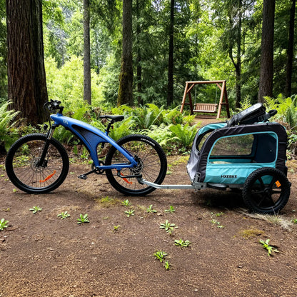 HX Q5 Shark Electric Bike with Built-in Battery